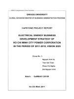 G1_00215 ELECTRICAL ENERGY BUSINESS DEVELOPMENT STRATEGY OF HO CHI MINH CITY POWER CORPORATION IN THE PERIOD OF 2011-2015, VISION 2025 