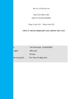 BÁO CÁO CÔNG VIỆC HỌC KỲ DOANH NGHIỆP CÔNG TY TRÁCH NHIỆM HỮU HẠN CROWE VIỆT NAM