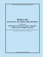 Báo cáo Đánh giá tác Động môi trường nhà máy sản xuất giấy anh Đức