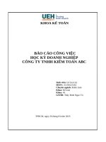 BÁO CÁO CÔNG VIỆC HỌC KỲ DOANH NGHIỆP CÔNG TY TNHH KIỂM TOÁN ABC