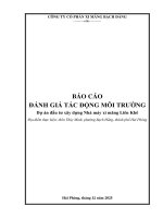 Báo cáo Đánh giá tác Động môi trường dự Án Đầu tư xây dựng nhà máy xi măng liên khê