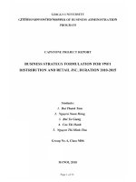 CAPSTONE PROJECT REPORT BUSINESS STRATEGY FORMULATION FOR VINF1 DISTRIBUTION AND RETAIL JSC, DURATION 2010-2015 BÁO CÁO DỰ ÁN CAPSTONE XÂY DỰNG CHIẾN LƯỢC KINH DOANH CHO CÔNG TY CỔ PHẦN PHÂN PHỐI VÀ BÁN LẺ VINF1, THỜI HẠN 2010-2015