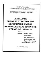 G1_00176 DEVELOPING BUSINESS STRATEGY FOR MEKOPHAR CHEMICAL PHARMACEUTICAL JSC IN THE PERIOD OF 2010-2015 PHÁT TRIỂN CHIẾN LƯỢC KINH DOANH CHO CÔNG TY CỔ PHẦN HÓA DƯỢC PHẨM MEKOPHAR GIAI ĐOẠN 2010-2015