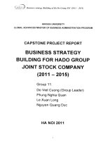 G1_00203 BUSINESS STRATEGY BUILDING FOR HADO GROUP JOINT STOCK COMPANY (2011-2015) CHIẾN LƯỢC KINH DOANH TÒA NHÀ CÔNG TY CỔ PHẦN TẬP ĐOÀN HADO (2011-2015)