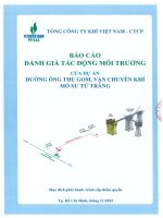 Báo cáo Đánh giá tác Động môi trường dự Án Đường Ống thu gom, vạn chuyển khí mỏ sư tử trắng