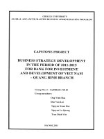 G1_00214 BUSINESS STRATEGY DEVELOPMENT IN THE PERIOD OF 2011-2015 FOR BANK FOR INVESTMENT AND DEVELOPMENT OF VIET NAM