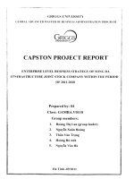 G1_00219 ENTERPRISE LEVEL BUSINESS STRATEGY OF SONG DA IIINFRASTRUCTURE JOINT STOCK COMPANY WITHIN THE PERIOD OF 2011-2020 CHIẾN LƯỢC KINH DOANH CẤP DOANH NGHIỆP CỦA CÔNG TY CỔ PHẦN HẠ TẦNG SÔNG ĐÀ III GIAI ĐOẠN 2011-2020