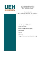 BÁO CÁO CÔNG VIỆC HỌC KỲ DOANH NGHIỆP CÔNG TY TNHH KIỂM TOÁN ABC VIỆT NAM