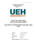 BÁO CÁO CÔNG VIỆC HỌC KỲ DOANH NGHIỆP TẠI CÔNG TY TNHH KIỂM TOÁN ABC VIỆT NAM