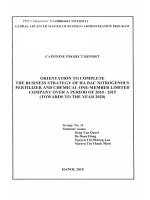 G1_00145 ORIENTATION TO COMPLETE THE BUSINESS STRATEGY OF HA BAC NITROGENOUS FERTILIZER AND CHEMICAL ONE-MEMBER LIMITED COMPANY OVER A PERIOD OF 2010 - 2015 (TOWARDS TO THE YEAR 2020) 