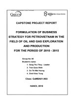 G1_00158 FORMULATION OF BUSINESS STRATEGY FOR PETROVIETNAM IN THE FIELD OF OIL AND GAS EXPLORATION AND PRODUCTION FOR THE PERIOD OF 2010 - 2015 
