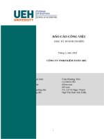 BÁO CÁO CÔNG VIỆC HỌC KỲ DOANH NGHIỆP CÔNG TY TNHH KIỂM TOÁN ABC
