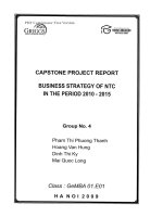 CAPSTONE PROJECT REPORT BUSINESS STRATEGY OF NTC IN THE PERIOD 2010 - 2015 BÁO CÁO DỰ ÁN CAPSTONE CHIẾN LƯỢC KINH DOANH CỦA NTC GIAI ĐOẠN 2010 - 2015