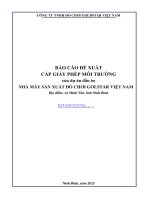 Báo cáo Đề xuất cấp giấy phép môi trường dự Án nhà máy sản xuất goldstar việt nam