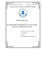 QUY TRÌNH KIỂM TOÁN TÀI SẢN CỐ ĐỊNH TẠI CÔNG TY TNHH ABC VIỆT NAM ĐỐI VỚI KHÁCH HÀNG XYZ