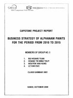 CAPSTONE PROJECT REPORT BUSINESS STRATEGY OF ALPHANAM PAINTS FOR THE PERIOD FROM 2010 TO 2015 CAPSTONE PROJECT REPORT BUSINESS STRATEGY OF ALPHANAM PAINTS FOR THE PERIOD FROM 2010 TO 2015