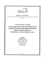 G1_00230 SETUP STRATEGIC DEVELOPMENT FOR PETROVIETNAM URBA  DEVELOPMENT JOINT STOCK COMPANY PERIOD 2011-2015 AND VISION ΤΟ 2025 