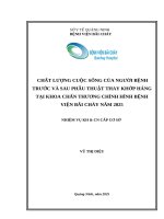 Chất lượng cuộc sống của người bệnh trước và sau phẫu thuật thay khớp háng tại khoa chấn thương chỉnh hình Bệnh viện Bãi Cháy năm 2025