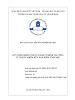 QUY TRÌNH KIỂM TOÁN TÀI SẢN CỐ ĐỊNH TẠI CÔNG TY TNHH ABC VIỆT NAM ĐỐI VỚI KHÁCH HÀNG XYZ