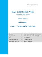 BÁO CÁO CÔNG VIỆC HỌC KỲ DOANH NGHIỆP CÔNG TY TNHH KIỂM TOÁN ABC