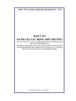 Báo cáo Đánh giá tác Động môi trường dự Án Đầu tư xây dựng và kinh doanh kết cấu hạ tầng kỹ thuật kcn bình giang