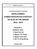 G1 00134 DEVELOPMENT HUMAN RESOURCES STRATEGY OF NLDC IN THE PERIOD 2010-2015 PHÁT TRIỂN CHIẾN LƯỢC NHÂN SỰ CỦA NLDC GIAI ĐOẠN 2010-2015