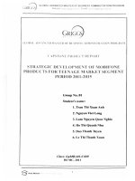 G1_00226 STRATEGIC DEVELOPMENT OF MOBIFONE PRODUCTS FOR TEENAGE MARKET SEGMENT PERIOD 2011-2015 CHIẾN LƯỢC PHÁT TRIỂN SẢN PHẨM MOBIFONE DÀNH CHO PHÂN KHÚC THỊ TRƯỜNG THANH THIẾU NIÊN GIAI ĐOẠN 2011-2015
