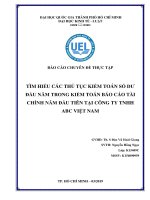 TÌM HIỂU CÁC THỦ TỤC KIỂM TOÁN SỐ DƯ ĐẦU NĂM TRONG KIỂM TOÁN BÁO CÁO TÀI CHÍNH NĂM ĐẦU TIÊN TẠI CÔNG TY TNHH ABC VIỆT NAM