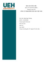 BÁO CÁO CÔNG VIỆC HỌC KỲ DOANH NGHIỆP CÔNG TY TNHH KIỂM TOÁN ABC VIỆT NAM