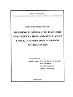 G1_00191 BUILDING BUSINESS STRATEGY FOR THAI NGUYEN IRON AND STEEL JOINT STOCK CORPORATION IN PERIOD OF 2012 TO 2016 XÂY DỰNG CHIẾN LƯỢC KINH DOANH CHO CÔNG TY CỔ PHẦN SẮT THÉP THÁI NGUYÊN GIAI ĐOẠN 2012 ĐẾN 2016