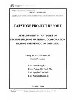 CAPSTONE PROJECT REPORT DEVELOPMENT STRATEGIES OF SECOIN BUILDING MATERIAL CORPORATION DURING THE PERIOD OF 2010-2020 BÁO CÁO DỰ ÁN CAPSTONE CHIẾN LƯỢC PHÁT TRIỂN CỦA CÔNG TY CỔ PHẦN VẬT LIỆU XÂY DỰNG SECOIN GIAI ĐOẠN 2010-2020