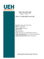 BÁO CÁO CÔNG VIỆC HỌC KỲ DOANH NGHIỆP CÔNG TY TNHH KIỂM TOÁN ABC