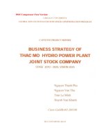 G1 00126 BUSINESS STRATEGY OF THAC MO HYDRO POWER PLANT NT JOINT STOCK COMPANY STAGE 2010-2020, VISION 2025 CHIẾN LƯỢC KINH DOANH CỦA CÔNG TY CỔ PHẦN NHÀ MÁY THỦY ĐIỆN THÁC MƠ NT GIAI ĐOẠN 2010-2020, TẦM NHÌN 2025
