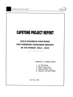 G1_00182 BÁO CÁO DỰ ÁN CAPSTONE XÂY DỰNG CHIẾN LƯỢC KINH DOANH CHO AGRIBANK CHI NHÁNH HOÀNG MAI GIAI ĐOẠN 2012-2015