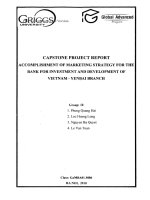 G1_00162 ACCOMPLISHMENT OF MARKETING STRATEGY FOR THE BANK FOR INVESTMENT AND DEVELOPMENT OF VIETNAM - YENBAI BRANCH HOÀN THÀNH CHIẾN LƯỢC MARKETING CHO NGÂN HÀNG ĐẦU TƯ VÀ PHÁT TRIỂN VIỆT NAM - CHI NHÁNH YÊN BÁI