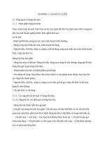 QUY TRÌNH KIỂM TOÁN HÀNG TỒN KHO TẠI CÔNG TY TNHH KIỂM TOÁN CROWE HORWATH VIỆT NAM