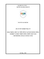 Hoạt Động cho vay tiêu dùng tại ngân hàng nông nghiệp và phát triển nông thôn việt nam chi nhánh cẩm lệ nam Đà nẵng