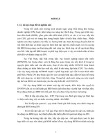 Tóm tắt Đánh giá ban Điều hành tại doanh nghiệp ngoài nhà nước Ở việt nam