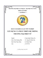 Xây dựng và phát triển hệ thống thương mại Điện tử