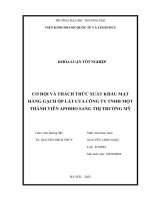 Cơ hội và thách thức xuất khẩu mặt hàng gạch Ốp lát của công ty tnhh một thành viên apodio sang thị trường mỹ