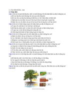 Sinh học 11 câu hỏi Đúng sai trả lời ngắn bài 2