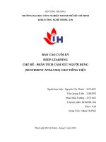 IUH - BÁO CÁO CUỐI KỲ - PHÂN TÍCH CẢM XÚC NGƯỜI DÙNG (SENTIMENT ANALYSIS) CHO TIẾNG VIỆT