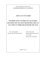 Giải pháp nâng cao hiệu quả xuất khẩu mặt hàng tóc giả sang thị tưởng châu Âu của công ty tnhh xnk rawhair việt nam