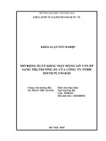 Mở rộng xuất khẩu mặt hàng gỗ ván Ép sang thị trường eu của công ty tnhh hmtđ plywood