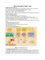 Tài liệu sinh hoc 11 bài 6 hô hấp Ở thực vật
