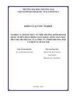 Cơ hội và thách thức từ môi trường kdqt Đến hoạt Động xuất khẩu hàng may mặc sang thị trường eu của công ty tnhh thương mại và dịch vụ se