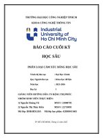 IUH - BÁO CÁO CUỐI KỲ HỌC SÂU - PHÂN LOẠI CẢM XÚC BẰNG HỌC SÂU