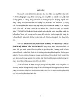 Tiểu luận PTSPDV - Phát triển sản phẩm bánh ăn kiêng Pro Taste của Công ty TNHH Một Thành Viên YOUNGBACK