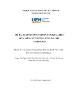The Impact of Geopolitical Risk and Stock Price Crash Risk on Corporate Cash Holdings