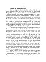 Tóm tắt tiếng việt phát huy dân chủ của sĩ quan cấp phân Đội quân Đội nhân dân việt nam hiện nay